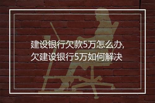 建设银行欠款5万怎么办,欠建设银行5万如何解决