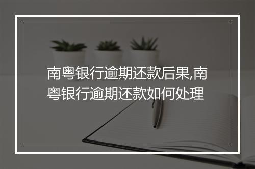南粤银行逾期还款后果,南粤银行逾期还款如何处理