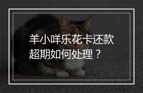 羊小咩乐花卡还款超期如何处理？