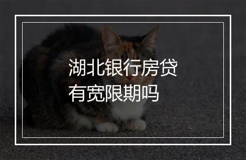 湖北银行房贷有宽限期吗