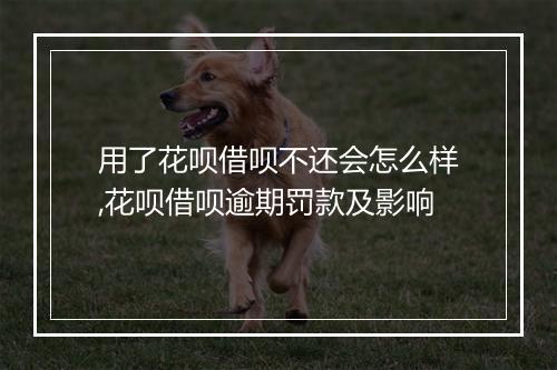用了花呗借呗不还会怎么样,花呗借呗逾期罚款及影响