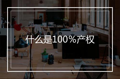 什么是100％产权