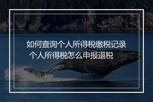 如何查询个人所得税缴税记录 个人所得税怎么申报退税