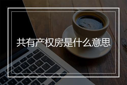 共有产权房是什么意思
