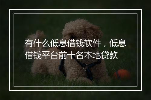 有什么低息借钱软件，低息借钱平台前十名本地贷款