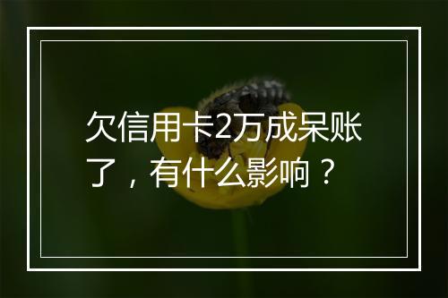 欠信用卡2万成呆账了，有什么影响？