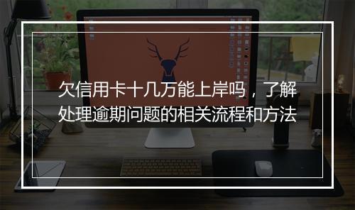 欠信用卡十几万能上岸吗，了解处理逾期问题的相关流程和方法