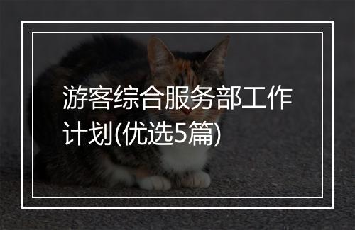 游客综合服务部工作计划(优选5篇)