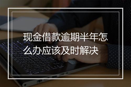 现金借款逾期半年怎么办应该及时解决