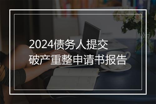 2024债务人提交破产重整申请书报告