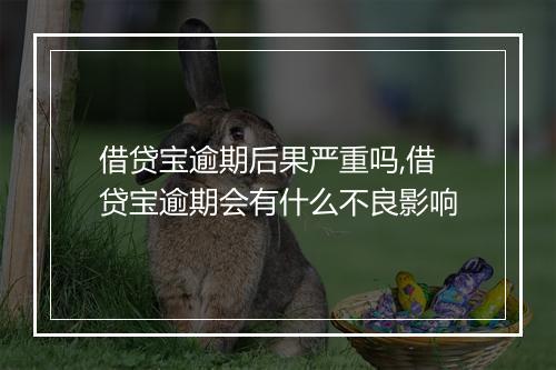 借贷宝逾期后果严重吗,借贷宝逾期会有什么不良影响