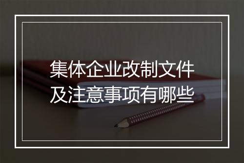 集体企业改制文件及注意事项有哪些