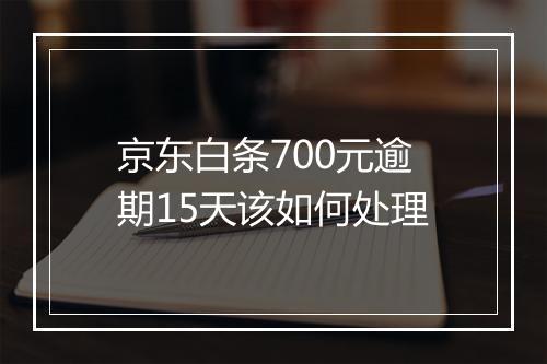 京东白条700元逾期15天该如何处理