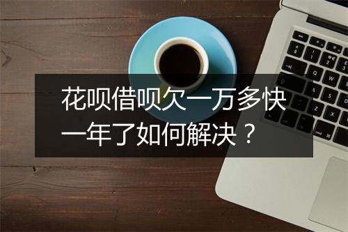 花呗借呗欠一万多快一年了如何解决？