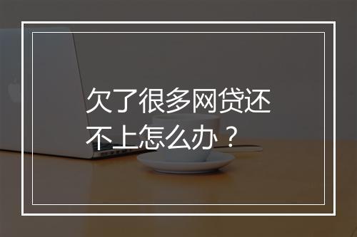 欠了很多网贷还不上怎么办？