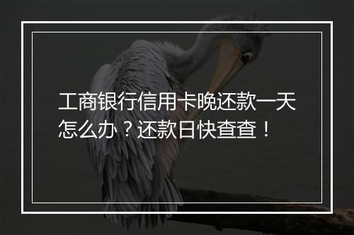 工商银行信用卡晚还款一天怎么办？还款日快查查！