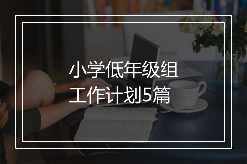 小学低年级组工作计划5篇