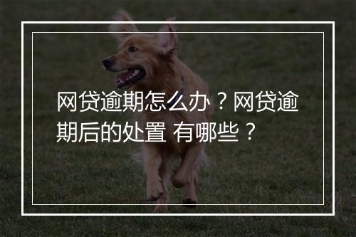 网贷逾期怎么办？网贷逾期后的处置 有哪些？