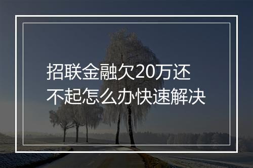 招联金融欠20万还不起怎么办快速解决