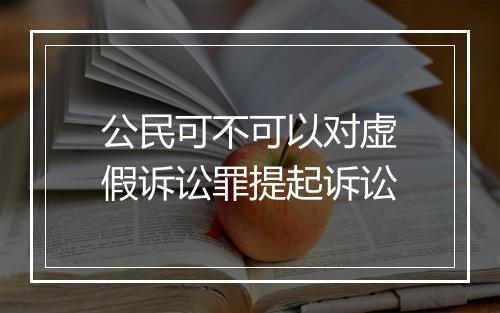 公民可不可以对虚假诉讼罪提起诉讼