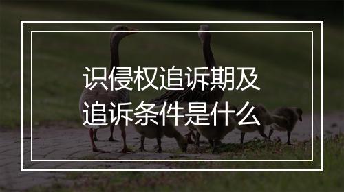 识侵权追诉期及追诉条件是什么