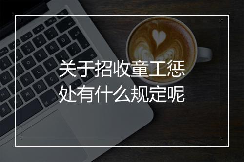 关于招收童工惩处有什么规定呢