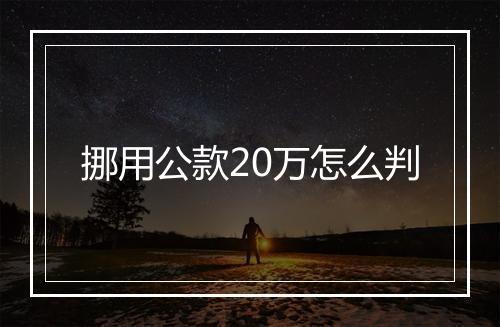 挪用公款20万怎么判