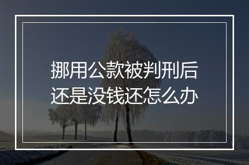 挪用公款被判刑后还是没钱还怎么办