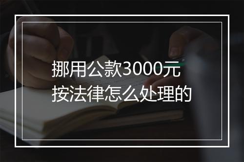 挪用公款3000元按法律怎么处理的