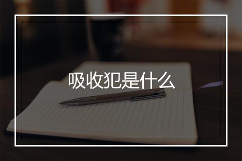 吸收犯是什么