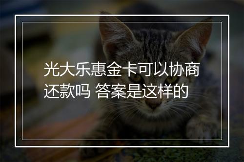 光大乐惠金卡可以协商还款吗 答案是这样的