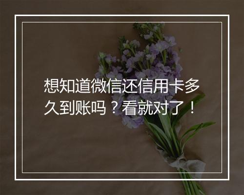 想知道微信还信用卡多久到账吗？看就对了！