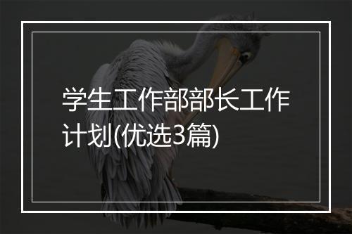 学生工作部部长工作计划(优选3篇)