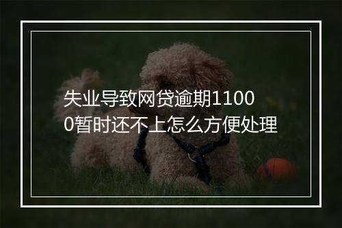 失业导致网贷逾期11000暂时还不上怎么方便处理