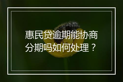惠民贷逾期能协商分期吗如何处理？