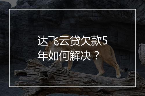 达飞云贷欠款5年如何解决？