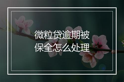 微粒贷逾期被保全怎么处理