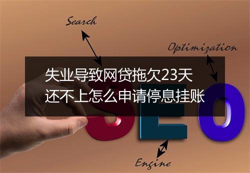 失业导致网贷拖欠23天还不上怎么申请停息挂账