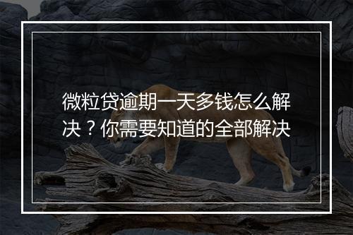 微粒贷逾期一天多钱怎么解决？你需要知道的全部解决
