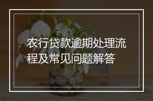 农行贷款逾期处理流程及常见问题解答