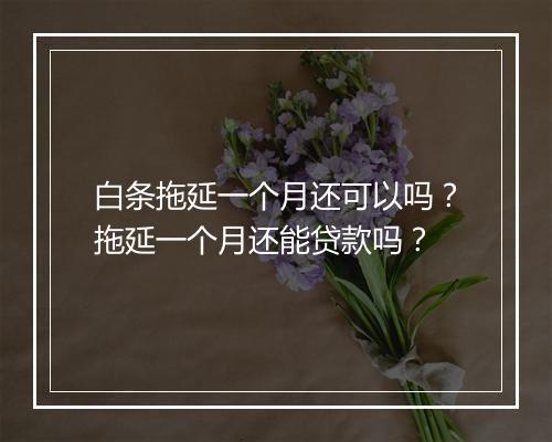 白条拖延一个月还可以吗？拖延一个月还能贷款吗？