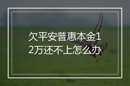 欠平安普惠本金12万还不上怎么办