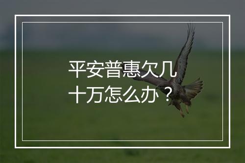 平安普惠欠几十万怎么办？