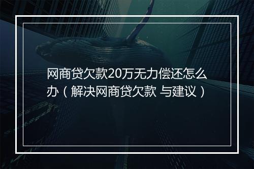 网商贷欠款20万无力偿还怎么办（解决网商贷欠款 与建议）