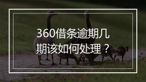 360借条逾期几期该如何处理？