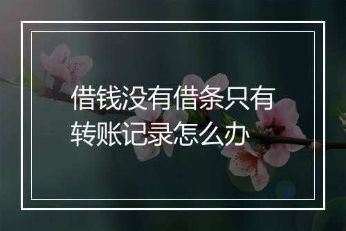 借钱没有借条只有转账记录怎么办