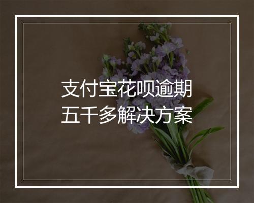 支付宝花呗逾期五千多解决方案