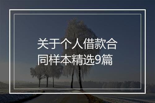 关于个人借款合同样本精选9篇