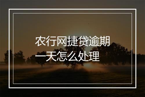 农行网捷贷逾期一天怎么处理