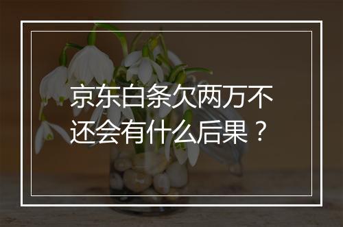 京东白条欠两万不还会有什么后果？